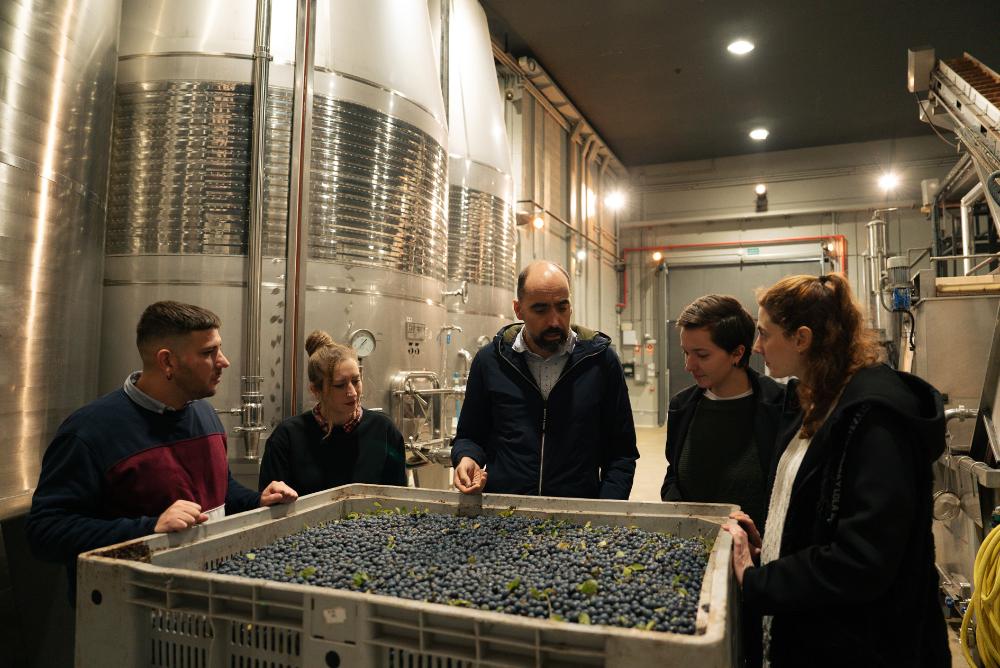 cinco personas en una destilería alrededor de un cotenedor grande lleno de endrinas